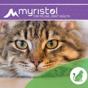myristol feline